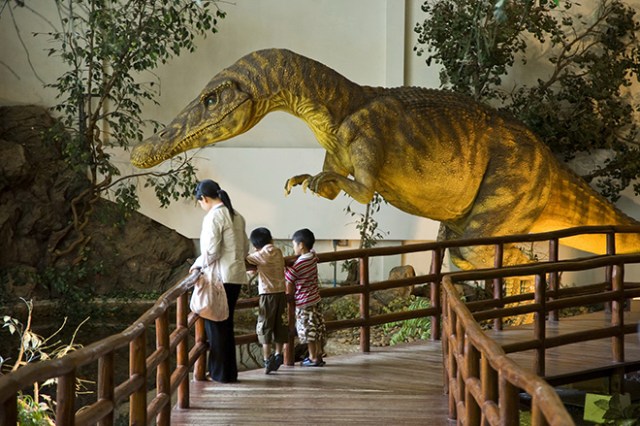 Dinosaur Museum, Phu Wiang National Park