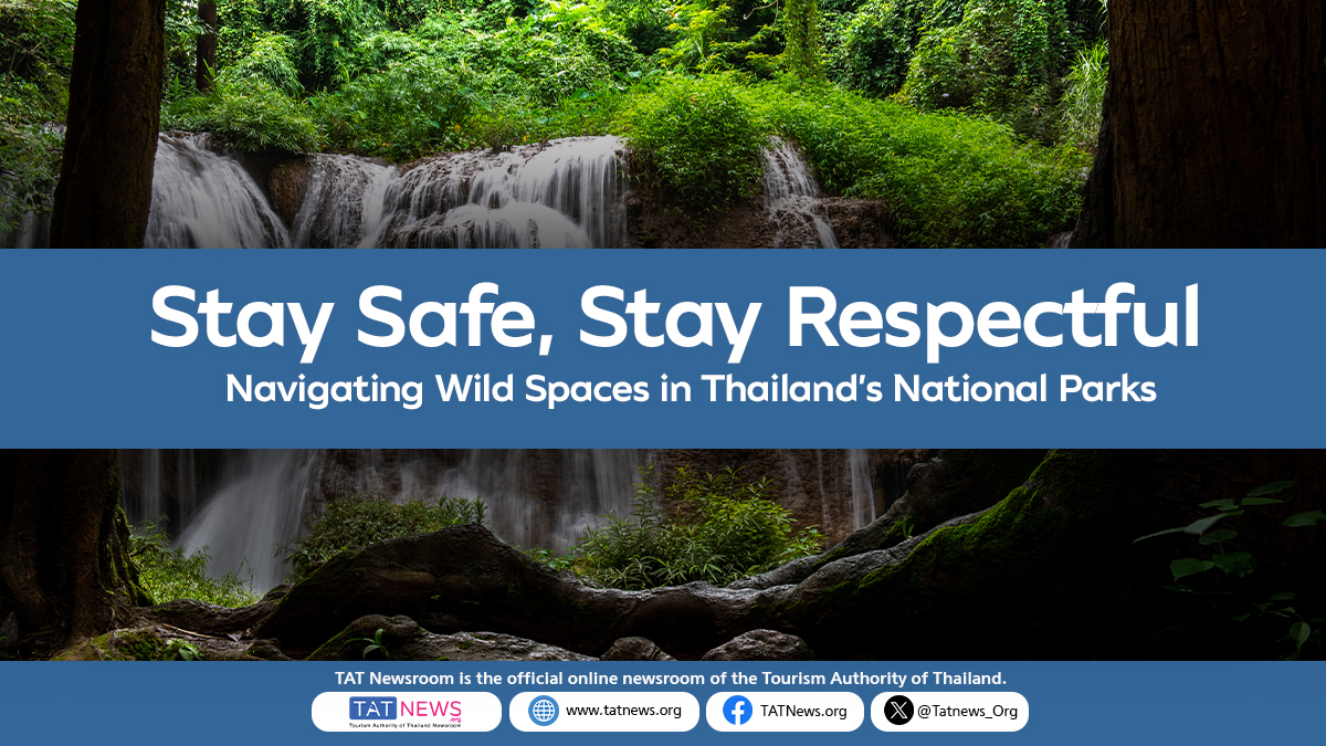 遭遇野生大象的安全指南